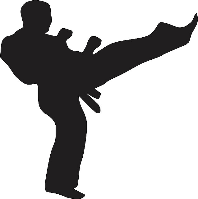 Otevřené MČR v karate Goju-ryu