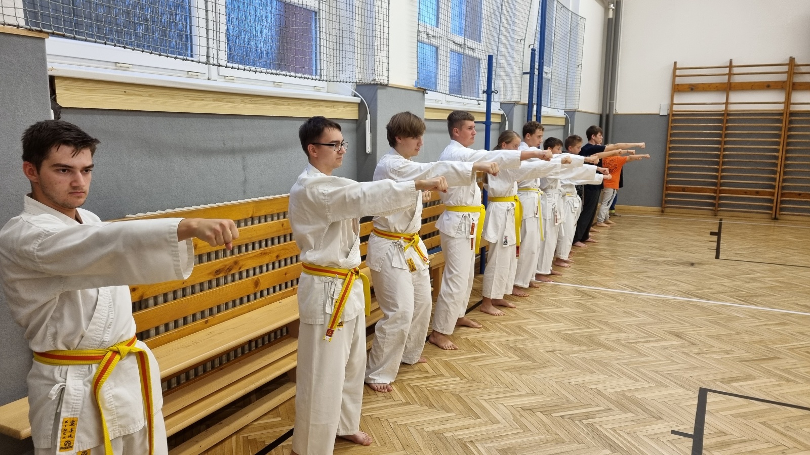 Výuka tradičního karate funguje i letos