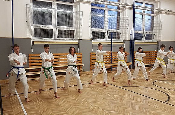 Střípky z historie karate 2008-2012