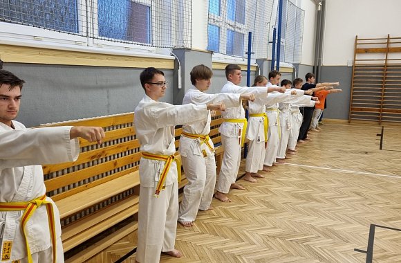 Výuka tradičního karate funguje i letos