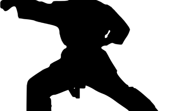 Rozhovor s Jaromírem Musilem - 2006