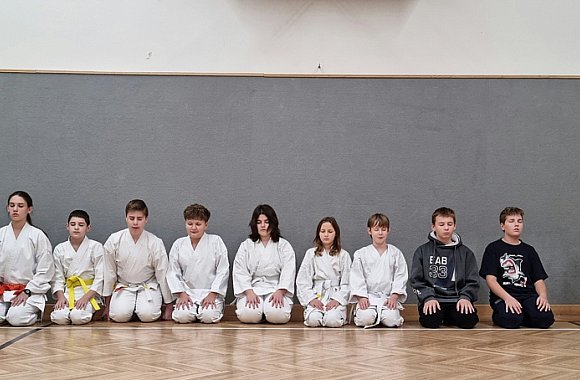 Kroužek nebo tradiční klub karate