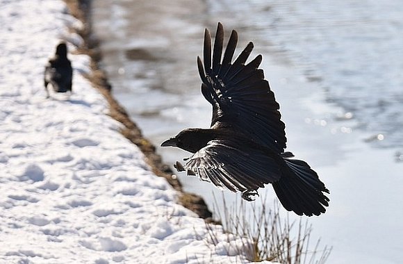 The Crow - legenda pokračuje